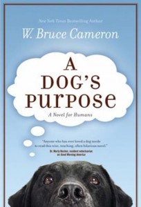 I read this book recently, and thoroughly enjoyed it. It was beautifully written and would have me laughing one moment, and crying the next. I highly recommend it to anyone who loves animals like myself, but the interesting thing about this book is that you don’t have to be a dog lover to enjoy it. Ultimately, it ended up being more about the relationships owners have with their pets, and the extraordinary power of love.  Sophia Maggio, Grade 10 